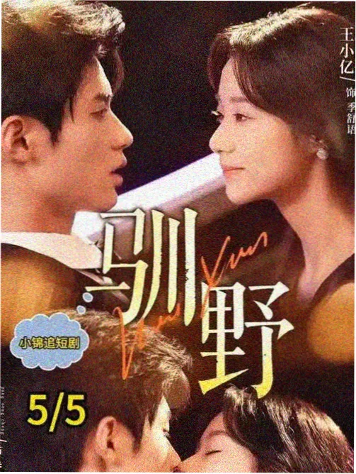 剧集《雨林信使》站台封面